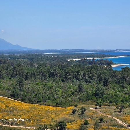Gite L'Appart De Case Vanille Sari-Solenzara Εξωτερικό φωτογραφία