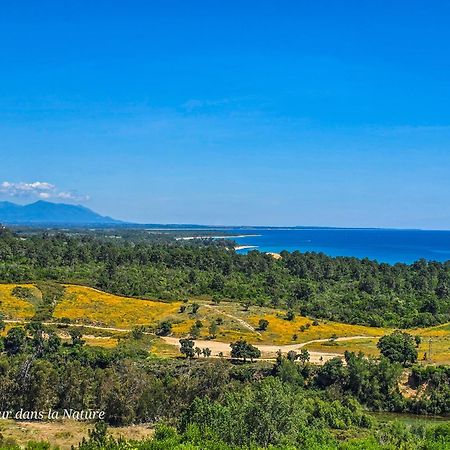 Gite L'Appart De Case Vanille Sari-Solenzara Εξωτερικό φωτογραφία