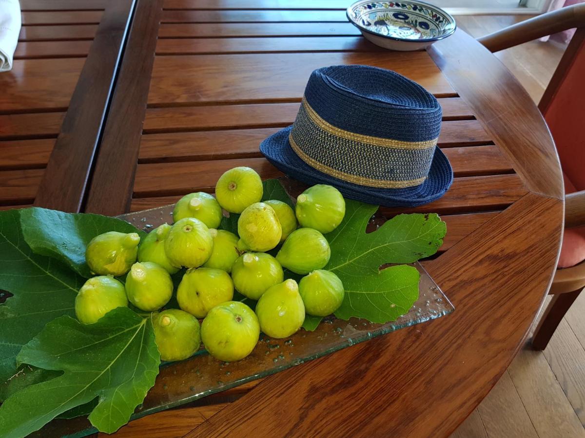 Gite L'Appart De Case Vanille Sari-Solenzara Εξωτερικό φωτογραφία