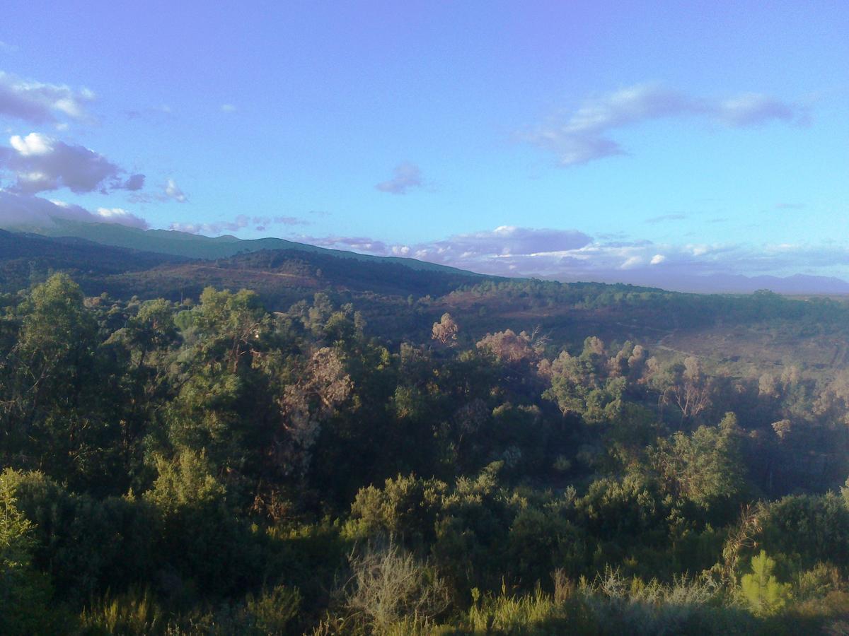 Gite L'Appart De Case Vanille Sari-Solenzara Εξωτερικό φωτογραφία